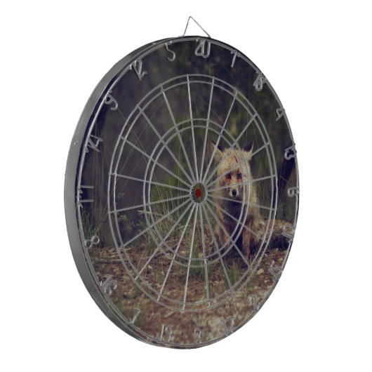 Kojote Dartscheibe (Vorderseite Links)