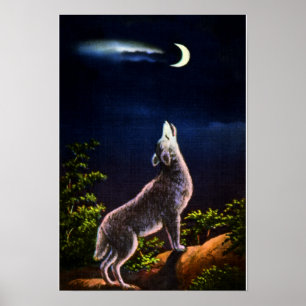 Kojote, der am Mond heult Poster