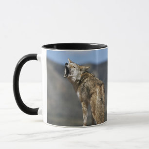 Kojote, der vom Höhepunkt heult Tasse