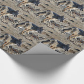 Kojote Geschenkpapier (Ecke)