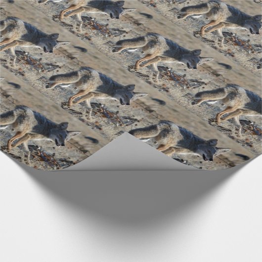 Kojote Geschenkpapier (Ecke)