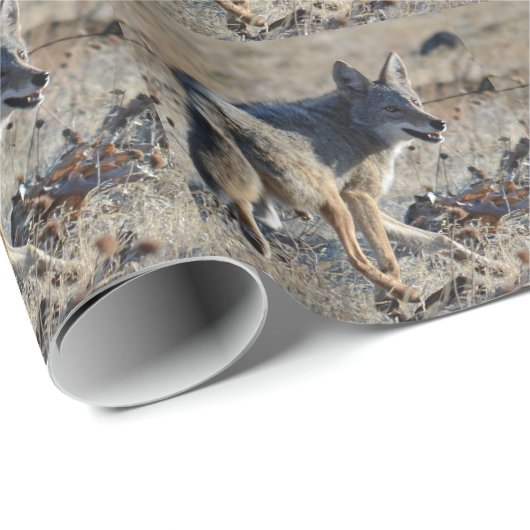 Kojote Geschenkpapier (Rolleneckpunkt)