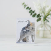 Kojote im Schnee-Tier-Führer, Ökologe Visitenkarte (Stehend Vorderseite)