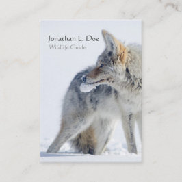 Kojote im Schnee-Tier-Führer, Ökologe Visitenkarte