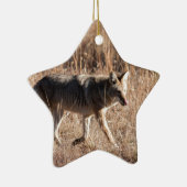 Kojote Keramik Ornament (Rechts)