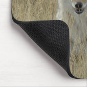 Kojote R2 im hohen Gras Mousepad (Ecke)