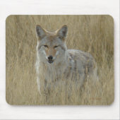 Kojote R2 im hohen Gras Mousepad (Vorne)