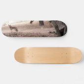 KOJOTE Skateboard (Horizontal)
