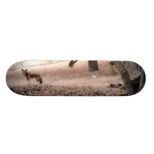 KOJOTE Skateboard