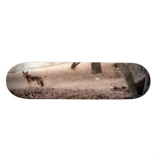 KOJOTE Skateboard