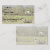 Kojote Visitenkarte (Vorne/Hinten)