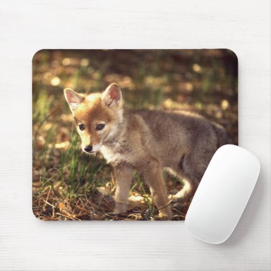 Kojote-Welpe Mousepad (Mit Mouse)