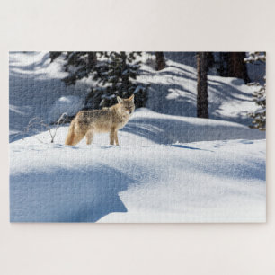Kojoten-Winter-Szene-Puzzle Puzzle