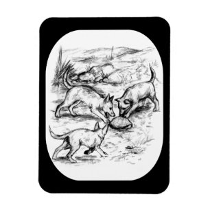 Kojotenwelpen Magnet
