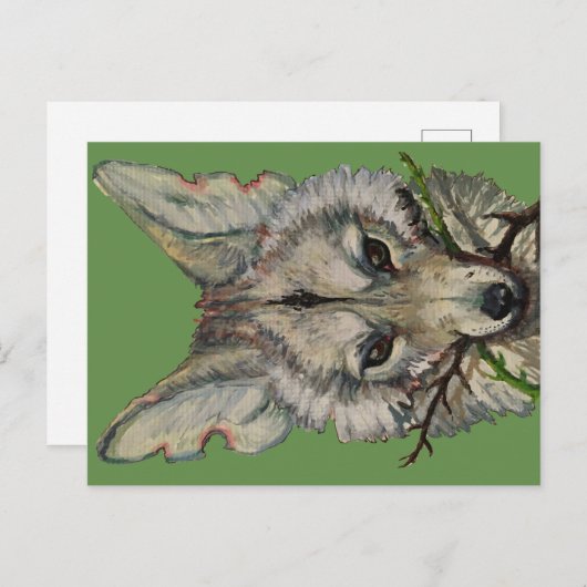 Kojotkarte nach Fakeliketank Postkarte (Vorne/Hinten)