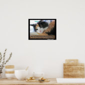 Kokett Calico mit Abraham Lincon Zitat Meme Poster (Küche)