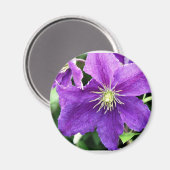 Kokett Magnet (Vorderseite/Rückseite)