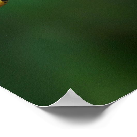 Kokon-Leben Poster (Ecke)