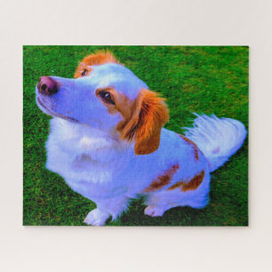 Kokoni Hund. Puzzle