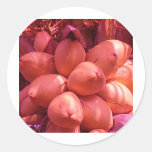 Kokos in Farbe Runder Aufkleber