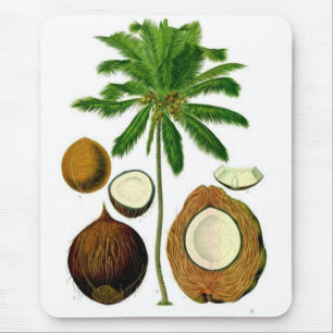 Kokosbaum Botanische Illustration Mousepad