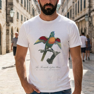 Kokoslori, Trichoglossus haematodus T-Shirt
