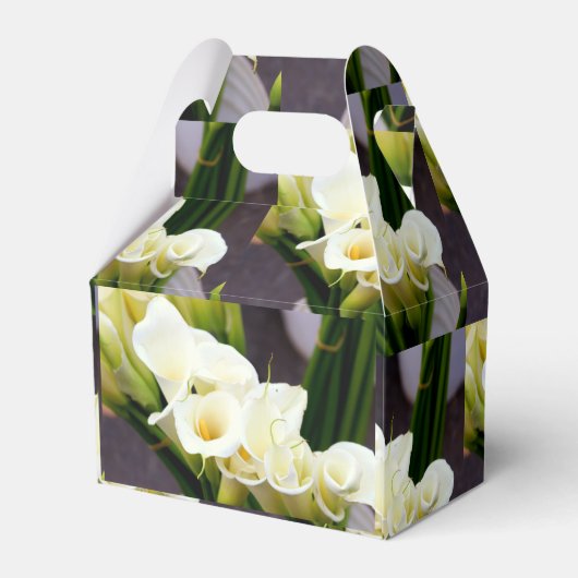 Kokosmilch Geschenkschachtel (Rückseite)