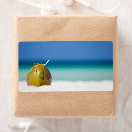 Kokosnuss am Strand (Insitu)