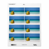 Kokosnuss am Strand (Vorne)