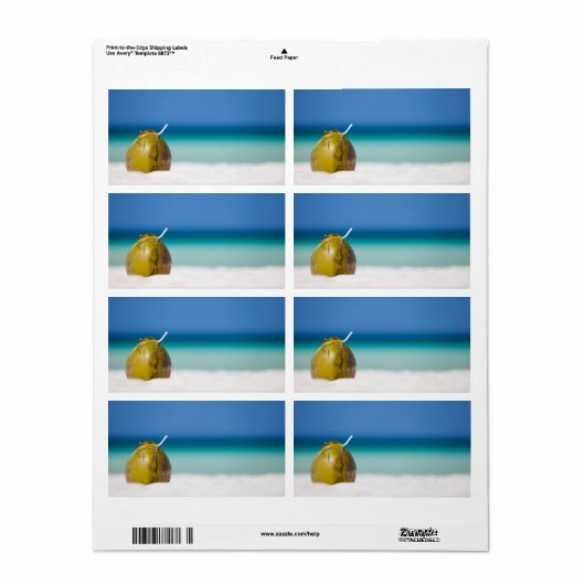 Kokosnuss am Strand (Vorne)