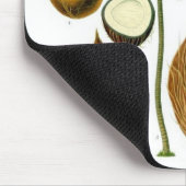 Kokosnuss-Baum-botanische Illustration Mousepad (Ecke)