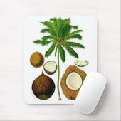Kokosnuss-Baum-botanische Illustration Mousepad (Mit Mouse)