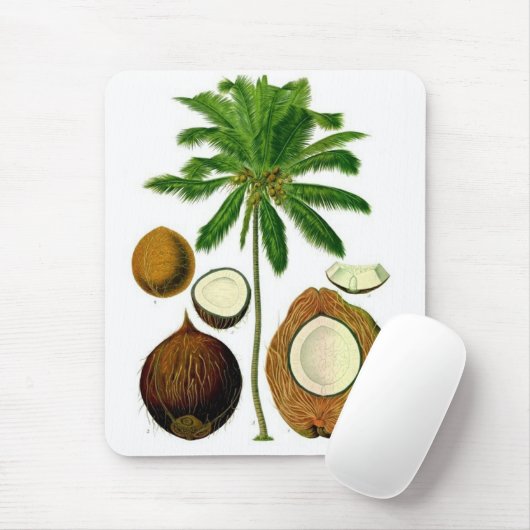 Kokosnuss-Baum-botanische Illustration Mousepad (Mit Mouse)