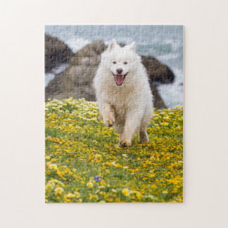 Kokosnuss - Blume Puzzle