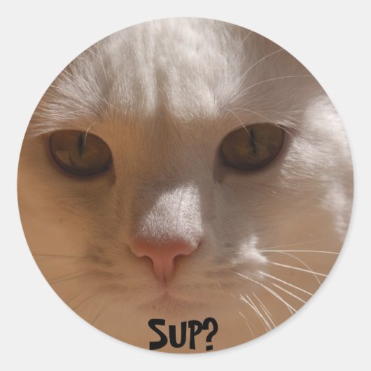 Kokosnuss die Katze - SUP? Runder Aufkleber (Vorderseite)