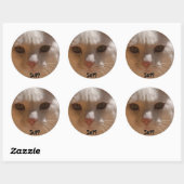 Kokosnuss die Katze - SUP? Runder Aufkleber (Blatt)