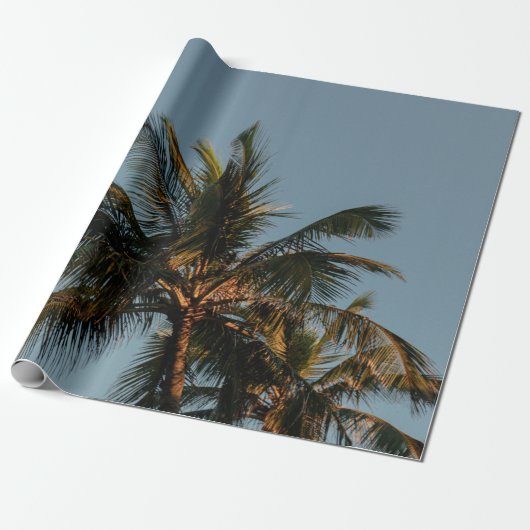 Kokosnuss Geschenkpapier (Ungerollt)