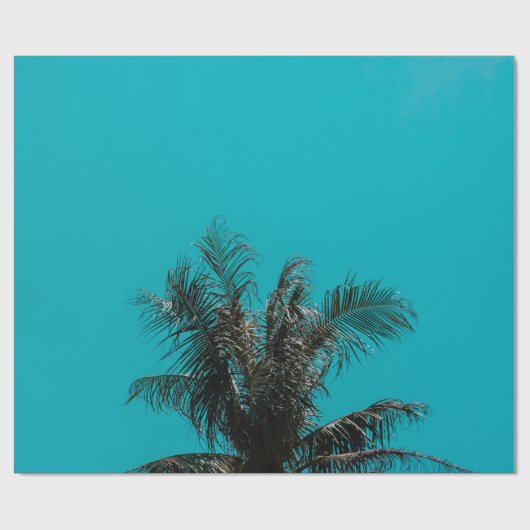 Kokosnuss Geschenkpapier (Flach)