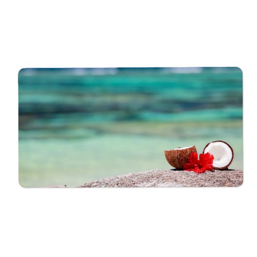 Kokosnuss mit tropischer Blume an der exotischen K (Vorne)