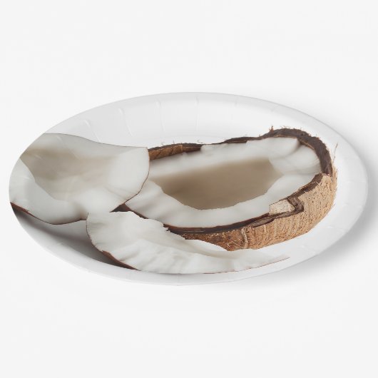Kokosnuss-Muschel-WegwerfpapierTeller Pappteller (Schrägansicht)