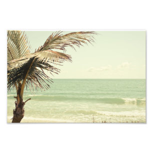 Kokosnuss-Palm und Pastel-Beach-Fotografie Fotodruck