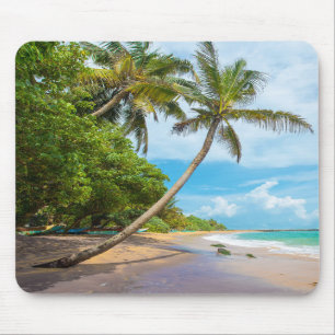 Kokosnuss-Palme, Mirissa Strand   Sri Lanka Mousepad
