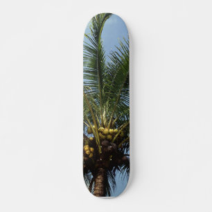 Kokosnuss-Palme Skateboard
