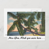 Kokosnuss-Palmen auf Südostflorida-Küste Postkarte (Vorne/Hinten)