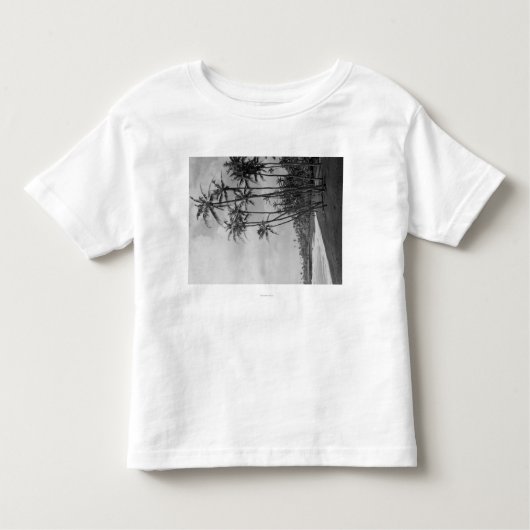 Kokosnuss-Palmen - hawaiische Insel-Fotografie Kleinkind T-shirt (Vorderseite)