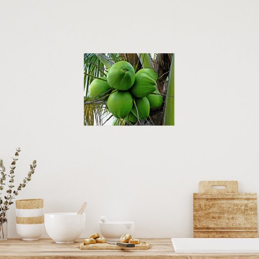 Kokosnuss Poster (Küche)