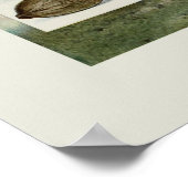 Kokosnuss Poster (Ecke)