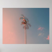 Kokosnuss Poster (Vorne)