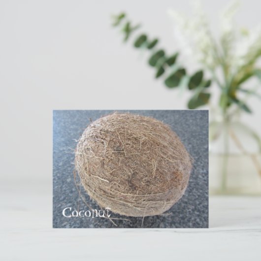 Kokosnuss Postkarte (Stehend Vorderseite)