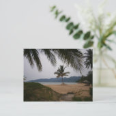 Kokosnuss Postkarte (Stehend Vorderseite)